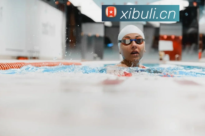 多媒体互动体验